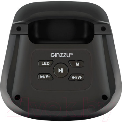 Портативная колонка Ginzzu GM-916B