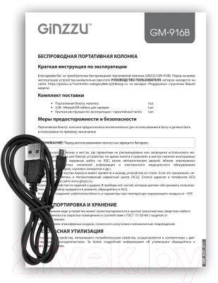 Портативная колонка Ginzzu GM-916B