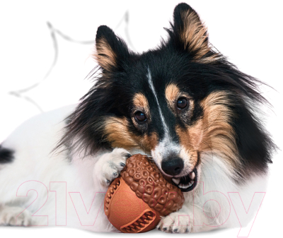 Игрушка для собак Mr. Kranch Орех с пищалкой / MKR000191