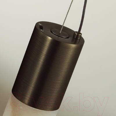 Потолочный светильник Odeon Light L-Vision 6686/25L