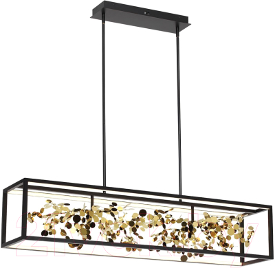 Потолочный светильник Odeon Light Bild 5065/65L