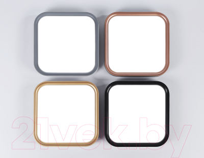 Потолочный светильник Ambrella FZ1250 WH/GR