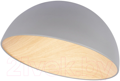 Потолочный светильник Loftit Egg 10197/500