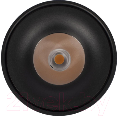 Потолочный светильник Loftit Tictac 3000K / 10219 (черный)