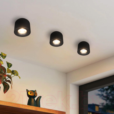 Потолочный светильник Loftit Tictac 3000K / 10219 (черный)