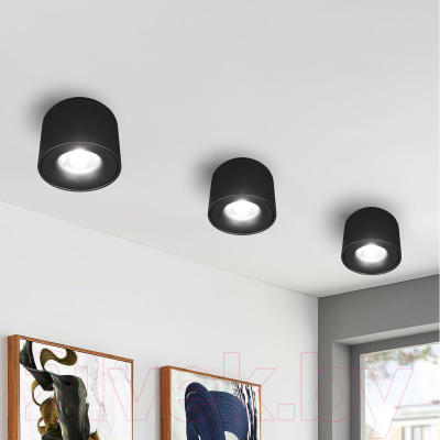 Потолочный светильник Loftit Tictac 4000K / 10219 (черный)