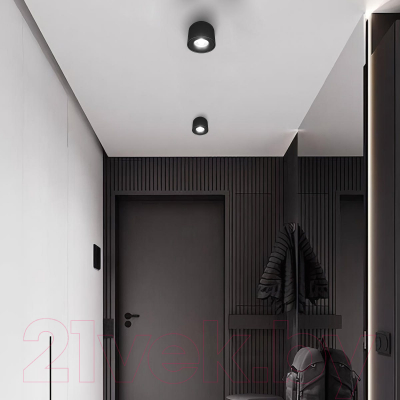 Потолочный светильник Loftit Tictac 4000K / 10219 (черный)