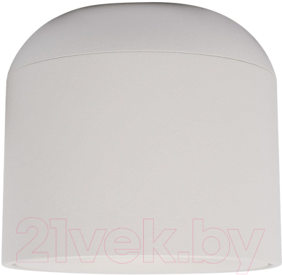 Потолочный светильник Loftit Tictac 4000K / 10219 (белый)