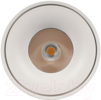 Потолочный светильник Loftit Tictac 4000K / 10219 (белый)