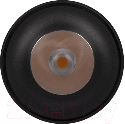 Потолочный светильник Loftit Tictac 3000K / 10220 (черный)