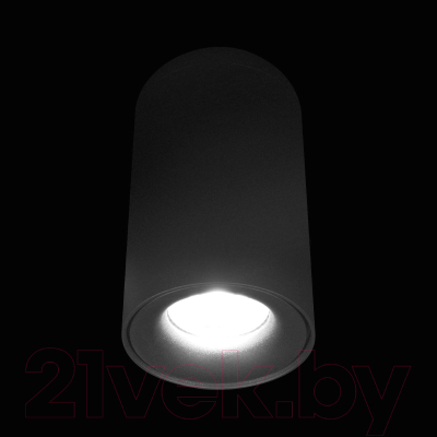 Потолочный светильник Loftit Tictac 3000K / 10220 (черный)