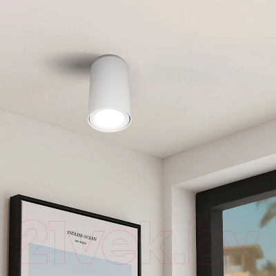 Потолочный светильник Loftit Tictac 4000K / 10220 (белый)