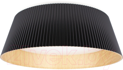 Потолочный светильник Loftit Evans 10224 - фото