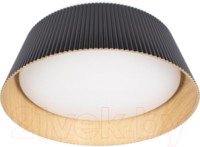 Потолочный светильник Loftit Evans 10224