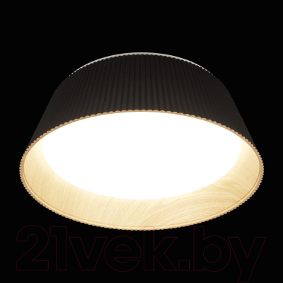 Потолочный светильник Loftit Evans 10224