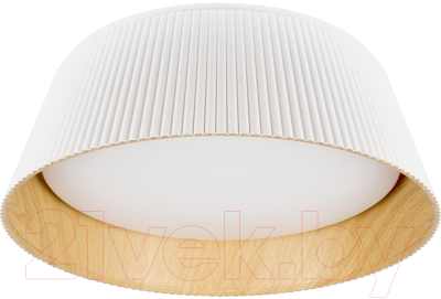 Потолочный светильник Loftit Evans 10224 - фото