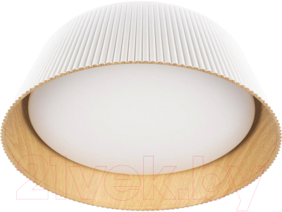 Потолочный светильник Loftit Evans 10224