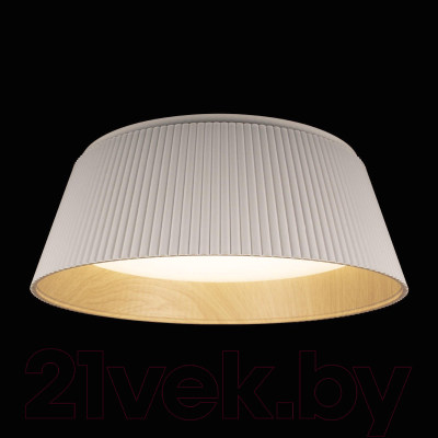 Потолочный светильник Loftit Evans 10224