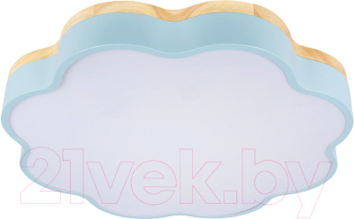 Потолочный светильник Loftit Axel 10225/36 - фото