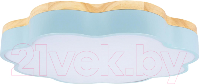 Потолочный светильник Loftit Axel 10225/36