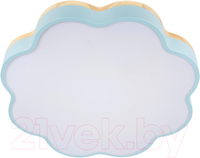 Потолочный светильник Loftit Axel 10225/36