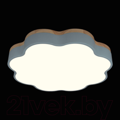 Потолочный светильник Loftit Axel 10225/36