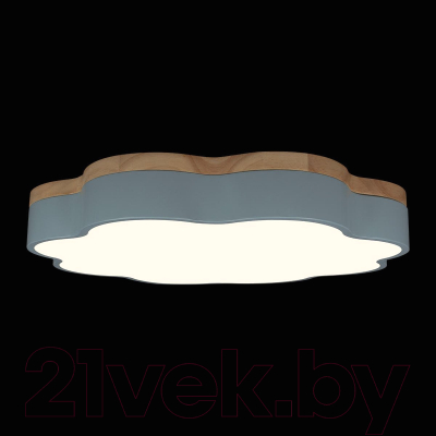 Потолочный светильник Loftit Axel 10225/36