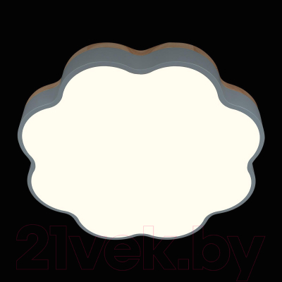 Потолочный светильник Loftit Axel 10225/36