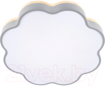 Потолочный светильник Loftit Axel 10225/36 (Grey)