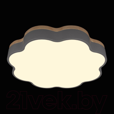 Потолочный светильник Loftit Axel 10225/36 (Grey)