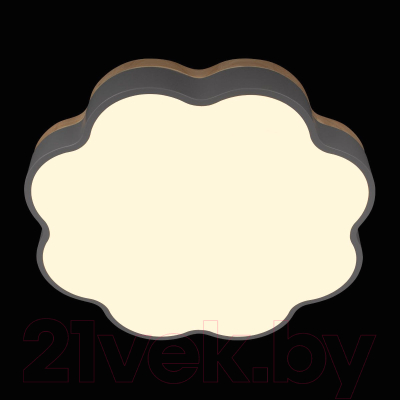 Потолочный светильник Loftit Axel 10225/36 (Grey)