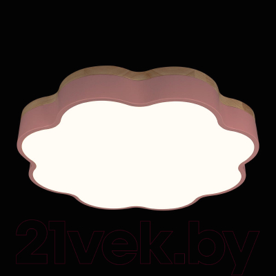 Потолочный светильник Loftit Axel 10225/36