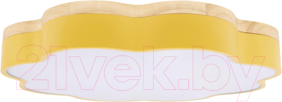 Потолочный светильник Loftit Axel 10225/36