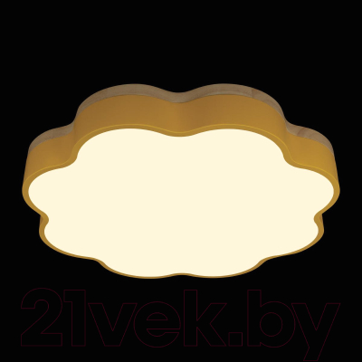 Потолочный светильник Loftit Axel 10225/36