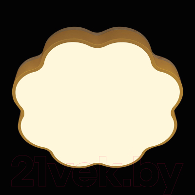 Потолочный светильник Loftit Axel 10225/36