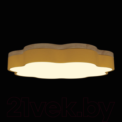 Потолочный светильник Loftit Axel 10225/36