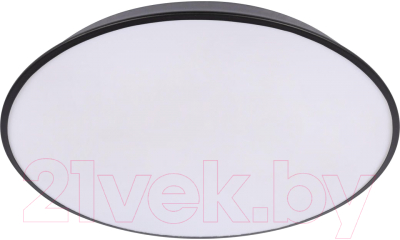 Потолочный светильник Loftit Brim 10226 (черный)