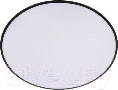 Потолочный светильник Loftit Brim 10226 (черный)