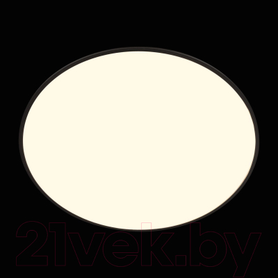 Потолочный светильник Loftit Brim 10226 (черный)