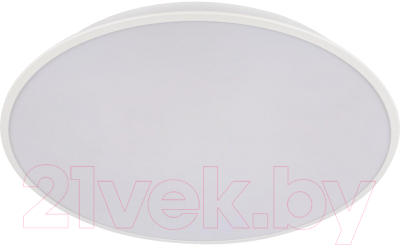 Потолочный светильник Loftit Brim 10226 (белый)