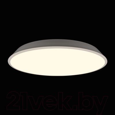 Потолочный светильник Loftit Brim 10226 (белый)