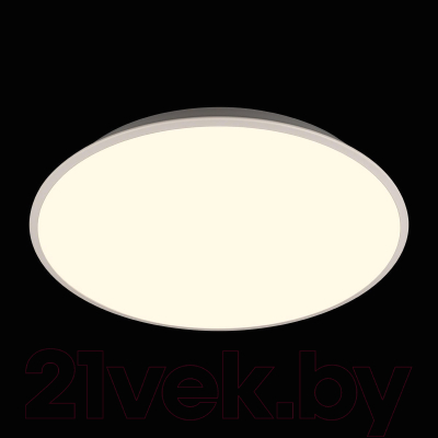 Потолочный светильник Loftit Brim 10226 (белый)