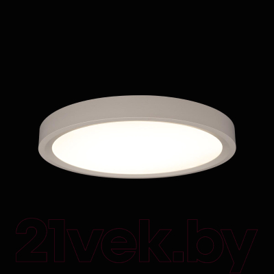 Потолочный светильник Loftit Extraslim 10227/24 (белый)