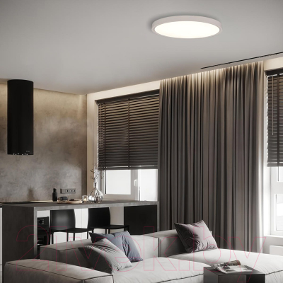 Потолочный светильник Loftit Extraslim 10227/40