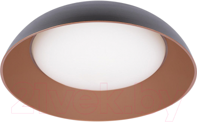 Потолочный светильник Loftit Cappello 10229