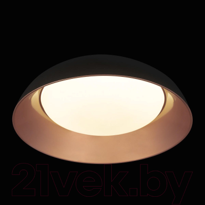 Потолочный светильник Loftit Cappello 10229