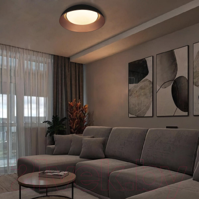 Потолочный светильник Loftit Cappello 10229