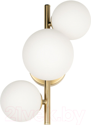 Бра Loftit Tely 10236/3W - фото