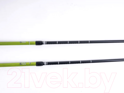 Трекинговые палки Tech Team Yeti 2-х секционные