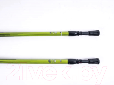 Трекинговые палки Tech Team Yeti 2-х секционные